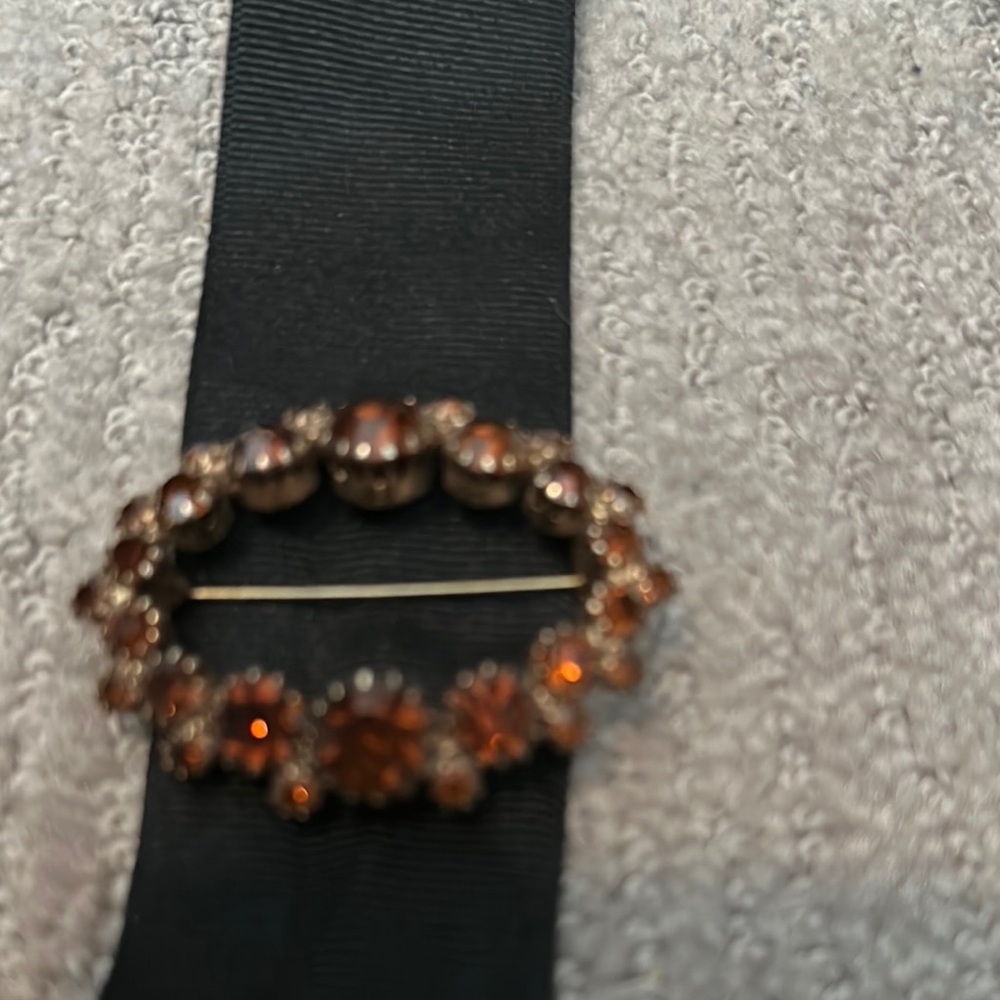 Elegant Brown Brooch